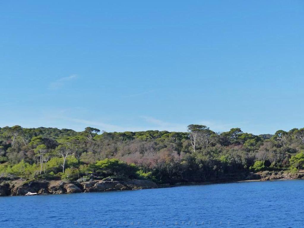 183 ILE DE PORQUEROLLES -1_000010.jpg